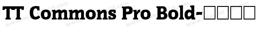 TT Commons Pro Bold字体转换